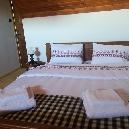 Casa Din Susani Calinesti  部屋 写真