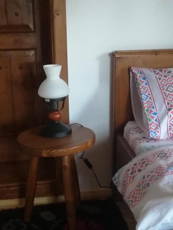 Casa Din Susani Calinesti  エクステリア 写真